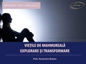 Vietile de Mahmureală - mentorat