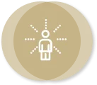 Icon network Ruxandra Bulzan